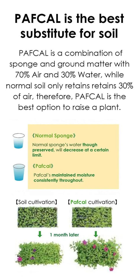 Comparison of normal soil and Organic Plant Sponge Chips For Indoor And Outdoor Use, showing moisture retention and plant growth over one month.