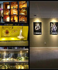 8 Pack 1W Warm White LED Mini Spotlights With 360 Degree Rotatable Heads illuminating display cases and wall art in gallery