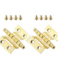 Top Shelf Vintage Gold Cabinet Hinges 2 Pack Badass Zinc Alloy Crown Hardware for jewelry boxes and wardrobe doors.