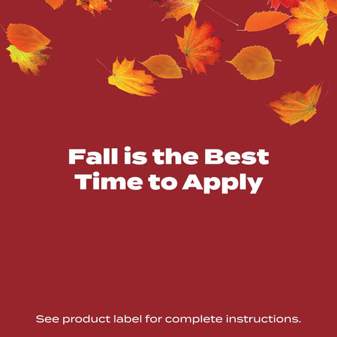 Fall Lawn Fertilizer Sets Up Solid Roots For Serious Recovery From Summer Slump And Heat Stress with autumn leaves background.