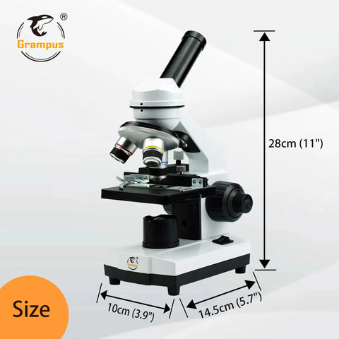Achromatic Compound Minocular Microscope 40X To 2000X With Dual LED Illumination side view with dimensions displayed