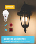 Outdoor Dusk To Dawn A19 LED Bulbs With Photocell Sensor, 800 Lumens, shown lit in an outdoor lantern, IP65, 9W Equal 60W.