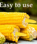 24 Pack Stainless Steel Corn Holders For Grillin And Barbecue Cob Skewers on corn cobs, easy to use in kitchen and outdoor parties
