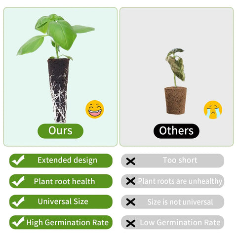 Comparison of healthy plant root in hydroponic pod kit with competitor's unhealthy plant, showing design and germination rates.