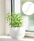Clear PU self adhesive recessed finger pulls on window frame, shown with plant in white pot for sliding glass doors, cabinets, drawers