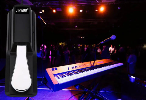 Sustain Pedal For Digital Pianos And Keyboards With Polarity Switch, Built To Last ABS Housing And Chrome Pedals, Black