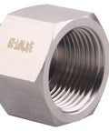Stainless steel 3/4 in NPT female hex fitting with internal threads, pack of 2
