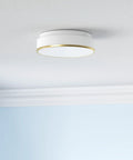 12 Inch Modern LED Flush Mount Ceiling Light With Frosted Glass Shade In Brass Finish 3000K Warm White Dimmable 18W Low Profile Fixture