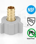 10 Pack Half Inch PEX to Half Inch Female NPT Swivel Brass Fittings Adapters Lead Free Potable Water Connector PEX B and C Compatible NSF ASTM F1807 Certified RV Plumbing Adapter for Easy DIY Repairs, lead-free brass swivel fitting