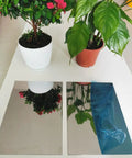 Pro Grade 304 Stainless Steel Sheet With Mirror Finish 200x300mm Metal Plate Double Sided Protective Film next to plants