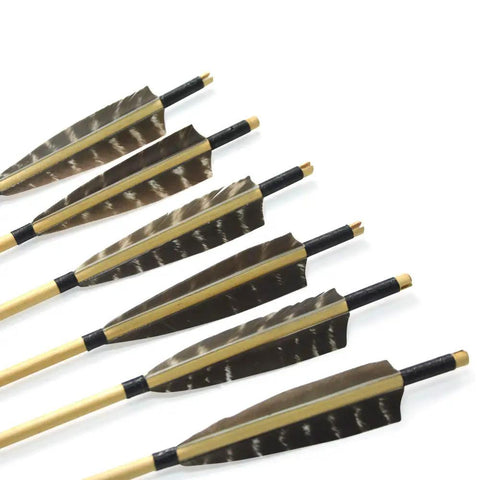 50 Pack Pro Grade Turkey Feather Fletching For Archery with real arrow vanes in various sizes and right/left wing shield cut.