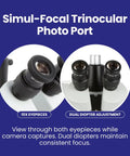 Simul Focal Trinocular Stereo Zoom Microscope With Dual Arm Boom Stand, 10X eyepieces and dual diopter adjustment