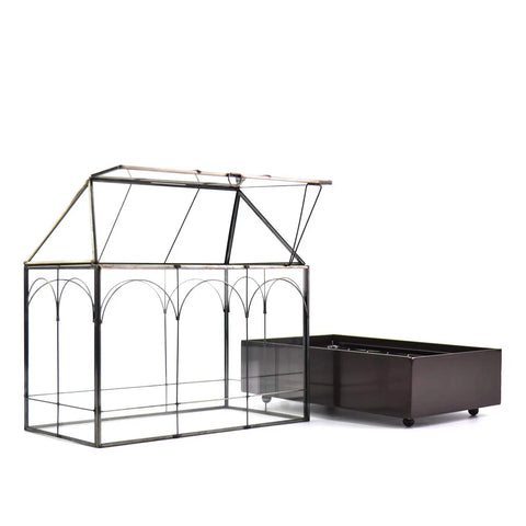 Tall Glass Plant Terrarium With Lip And Tray On Wheels For Home Succulents And Houseplants Glass Greenhouse Waterproof Brass Tray With Dope Wheels 9.5 By 5.7 By 11.4 Inches