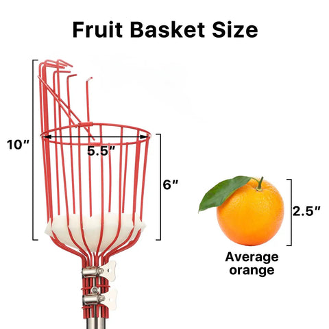 Game Changer Fruit Picker Pole With Large Metal Basket dimensions compared to average orange
