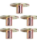 Five M6 Three Hole Flange Nut T Nut Tee For Furniture Fixing, Heavy Duty Galvanized Iron Round Base Connectors shown flat