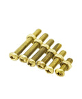 Top Shelf Brass Pan Head Hex Nut Combination Kit With Assorted Metric Cross Recess Machine Screws, brass screws in various sizes.