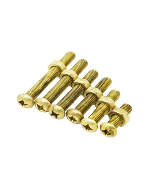 Top Shelf Brass Pan Head Hex Nut Combination Kit With Assorted Metric Cross Recess Machine Screws, brass screws in various sizes.