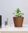 4 Inch Small Plastic Nursery Pots Set Of Five With Drainage Holes And Saucers Water Ripples 3D Wave Design shown on desk