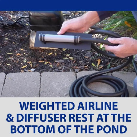 Complete Pond Aeration Kit For Backyard Ponds Up To 3000 Gallons And Four Feet Deep Includes Diaphragm Air Pump Air Line And Submersible Diffuser Stick To Boost Oxygen Circulation Improve Water Quality And Fish Health shown with weighted airline and diffuser