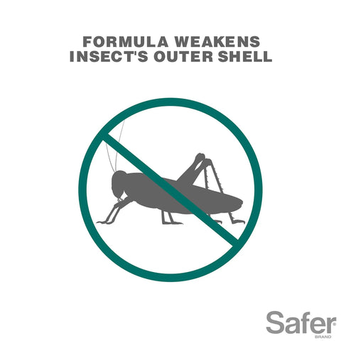 Insect Killing Soap Concentrate For Plants Insecticidal Soap That Wipes Out Aphids Whiteflies Thrips Spider Mites And More OMRI Listed For Organic Use Safe On Most Flowers Herbs Vegetables Houseplants Lawn And Garden graphic with crossed-out insect indicating pest control effect.