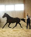 Lunging Surcingle For Horses Durable Nylon Trainer Gear With Multi Ring Setup For Side Reins And Aids Black Easy Adjustable