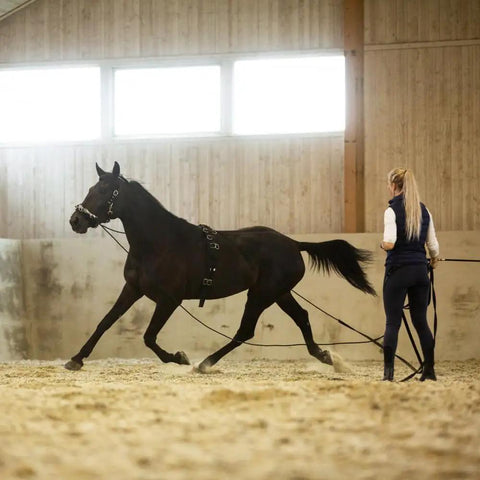 Lunging Surcingle For Horses Durable Nylon Trainer Gear With Multi Ring Setup For Side Reins And Aids Black Easy Adjustable