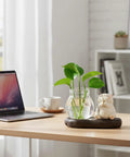 Dope Glass Propagation Station With Wood Display Vases For Water Rooting on office desk, featuring a plant cutting in a glass jar