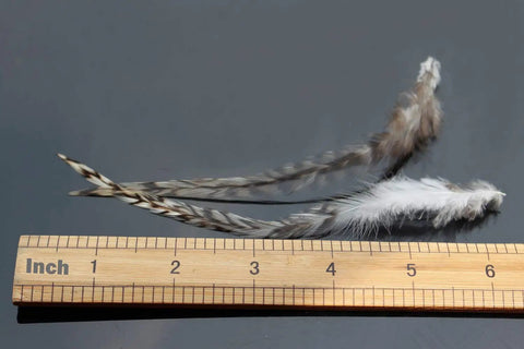 30 Pcs Natural White Black Barred Grizzly Rooster Hackles For Streamers Wet Flies And Fly Fishing Tying Feathers shown with ruler for scale