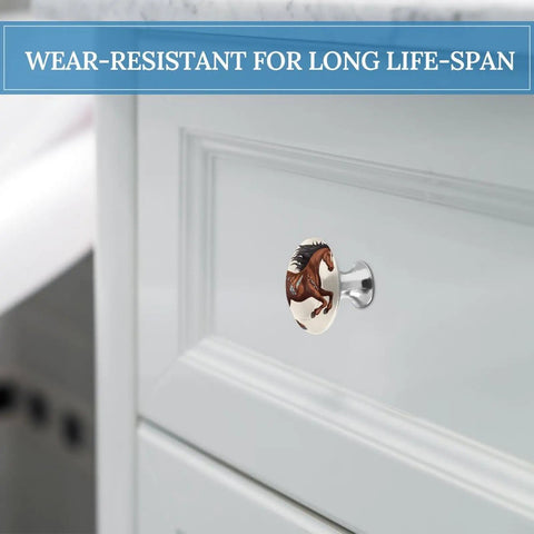 Two Pack Brown Horse Round Stainless Steel Cabinet Knobs With Screws For Kitchen Cabinets Drawers Closets Dressers Cupboards