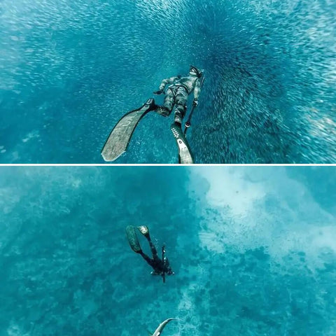 Diver wearing 5MM Neoprene Spearfishing Wetsuit With Hood, 2-Piece Camouflage Hunting Diving Suit With Loading Chest Pad For Cool Water Freediving, Snorkeling And Swimming, Silver, XL, surrounded by fish underwater.