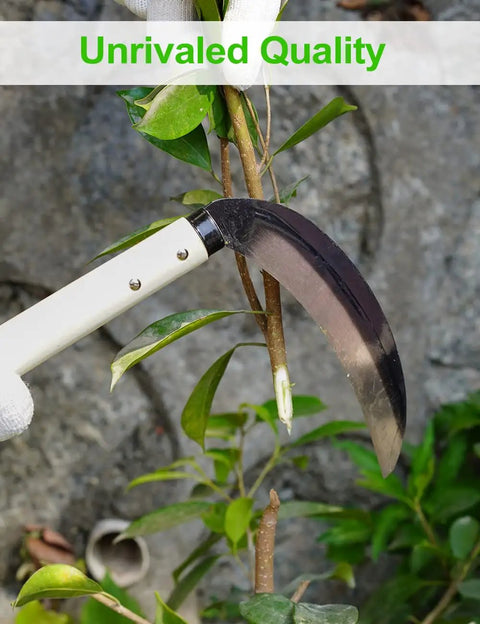 Carbon Steel Grass Sickle For Easy Weeding And Harvesting with 15-inch blade cutting plant, lightweight wooden handle visible