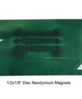 Green Magnetic Viewing Film 4x6 Inches For Quick Magnetic Field Visualization showing magnetic field pattern from disc magnets.