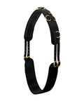 Shock Absorbing Neoprene Surcingle For Horse Training with adjustable fit, brass plated buckles, and dee rings, shown flat.