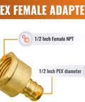 Pack Of 25 PEX Half Inch NPT Female Threaded Adapters Lead Free Brass Fittings NSF ANSI 61 UPC Certified Plumbing Hardware
