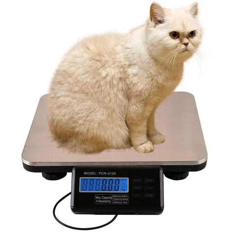 Heavy Duty Digital Shipping Scale With Six Hundred Sixty Pound Load And Smooth Stainless Steel Platform For Real Deal Accurate Parcel Weighing Plus Straight Up LCD Readouts with a cat on top.