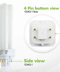 13 Watt Double Tube CFL Light Bulb G24Q-1 4 Pin Base 2700K Warm White 900 Lumens Side View and 4 Pin Bottom View