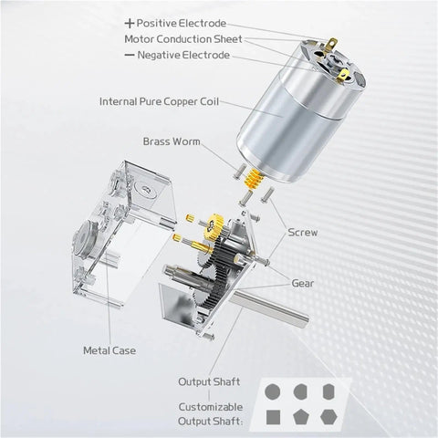 Diagram of Miniature Brushed DC Motor 12V 24V With Extended Shaft Output 11 To 470 RPM, showing internal components like metal gears and copper coil.