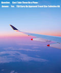 Airplane wing view during flight with text about TSA Carry On Approved Travel Size Toiletries Kit.
