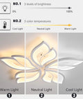 Dope Modern Leaf Ceiling Light 60W Dimmable LED With Remote Control 23.6 Inch Acrylic Flush Mount Chandelier showing brightness levels and light temperatures.