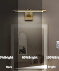 Dimmable LED Picture Light With Swing Arm, 16.5 Inch Dope Brass Finish Wall Lamp above artwork, showing brightness levels.