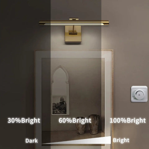 Dimmable LED Picture Light With Swing Arm, 16.5 Inch Dope Brass Finish Wall Lamp above artwork, showing brightness levels.