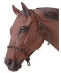 Go-To Poly Nylon Rope Horse Halter With Fiador Knot Under Jaw Fray Resistant Shrink Wrapped Ends Durable Training Halter For Responsive Handling Black on horse model