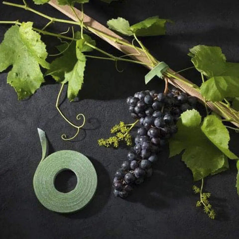 One Wrap Garden Ties For Plants And Staking Reusable Adjustable Plant Supports With Gentle Non Slip Grip Cut To Length Forty Five Foot Roll One Half Inch Green on vine with grapes
