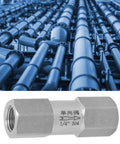 Close-up of stainless steel air check valve with 1/4 in female thread and hex body (304).