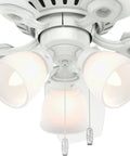 Low Profile Indoor Ceiling Fan With LED Light And Pull Chain Control Dope Multi Speed Reversible Motor Quiet Efficient