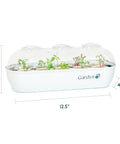 Indoor Seed Germination And Hydroponic Growing Kit For Easy No Fuss Home Gardens with transparent seed starter tray