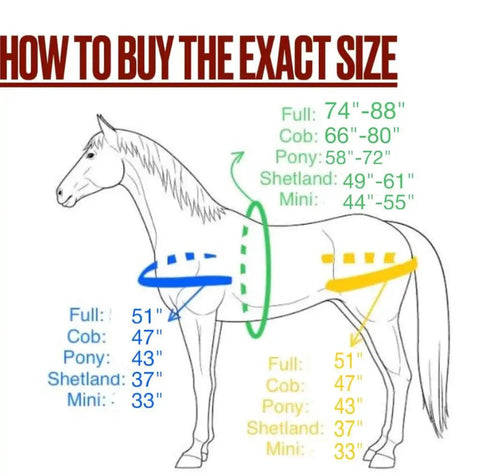 Sizing guide for Three Tone Leather Horse Driving Harness For Single Horse Cart with measurements for Shetland size.