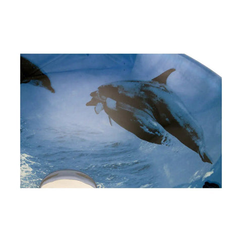 Sick Dope Blue Dolphin Tempered Glass Round Vessel Sink For Countertop Bathroom 16.5 Inch Blue Glass Bowl With Chrome Drain Ocean Themed Modern
