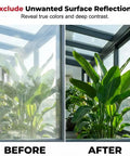 Comparison of plant visible through glass before and after using Magnetic CPL Phone Camera Filter Kit With Quick Mount Polarizing Filter For On The Go Mobile Pics Reduces Reflections From Glass Water Windows Vehicles And Other Surfaces Color Enhancing Filters For Outdoor Shoots.