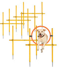 Dog jumping through ring in 2.6 Ft Dog Agility Obstacle Course Set For Backyard Training With Wave Poles Adjustable Hurdles Jump Ring Pack Of 6 Yellow Training Poles For Puppies And Active Dogs